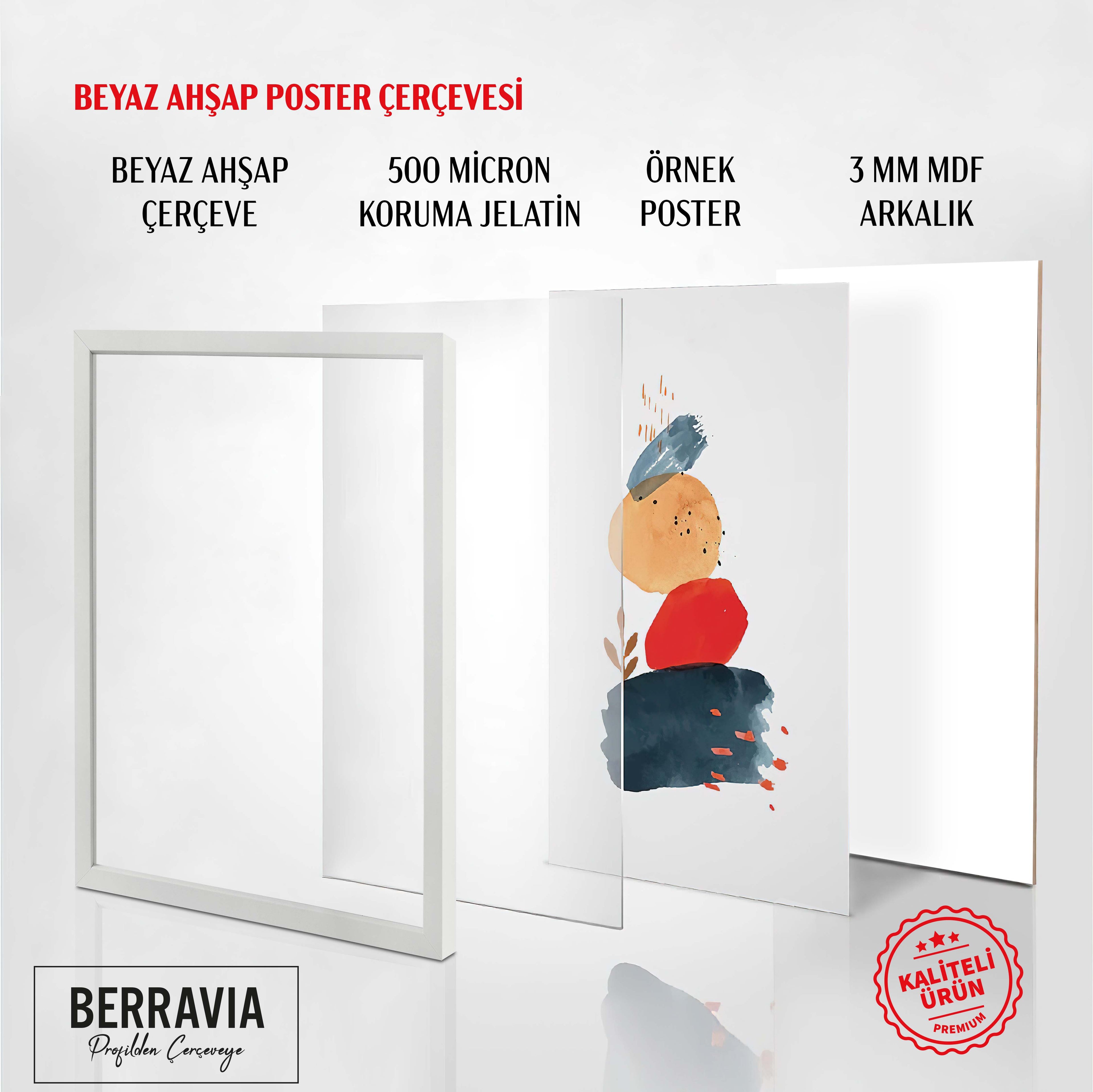 Hazır Poster, Resim Çerçevesi