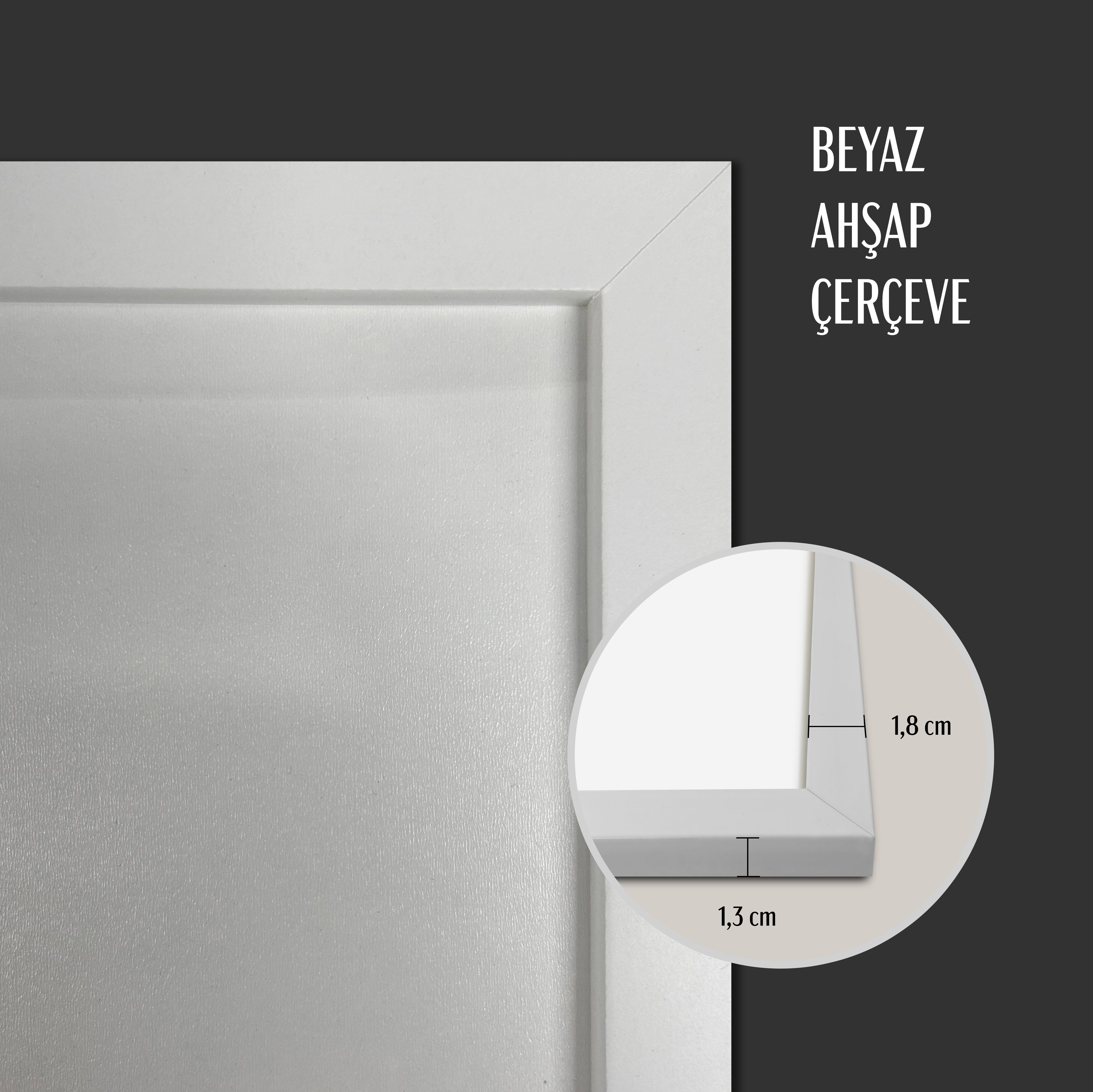 Hazır Poster, Resim Çerçevesi