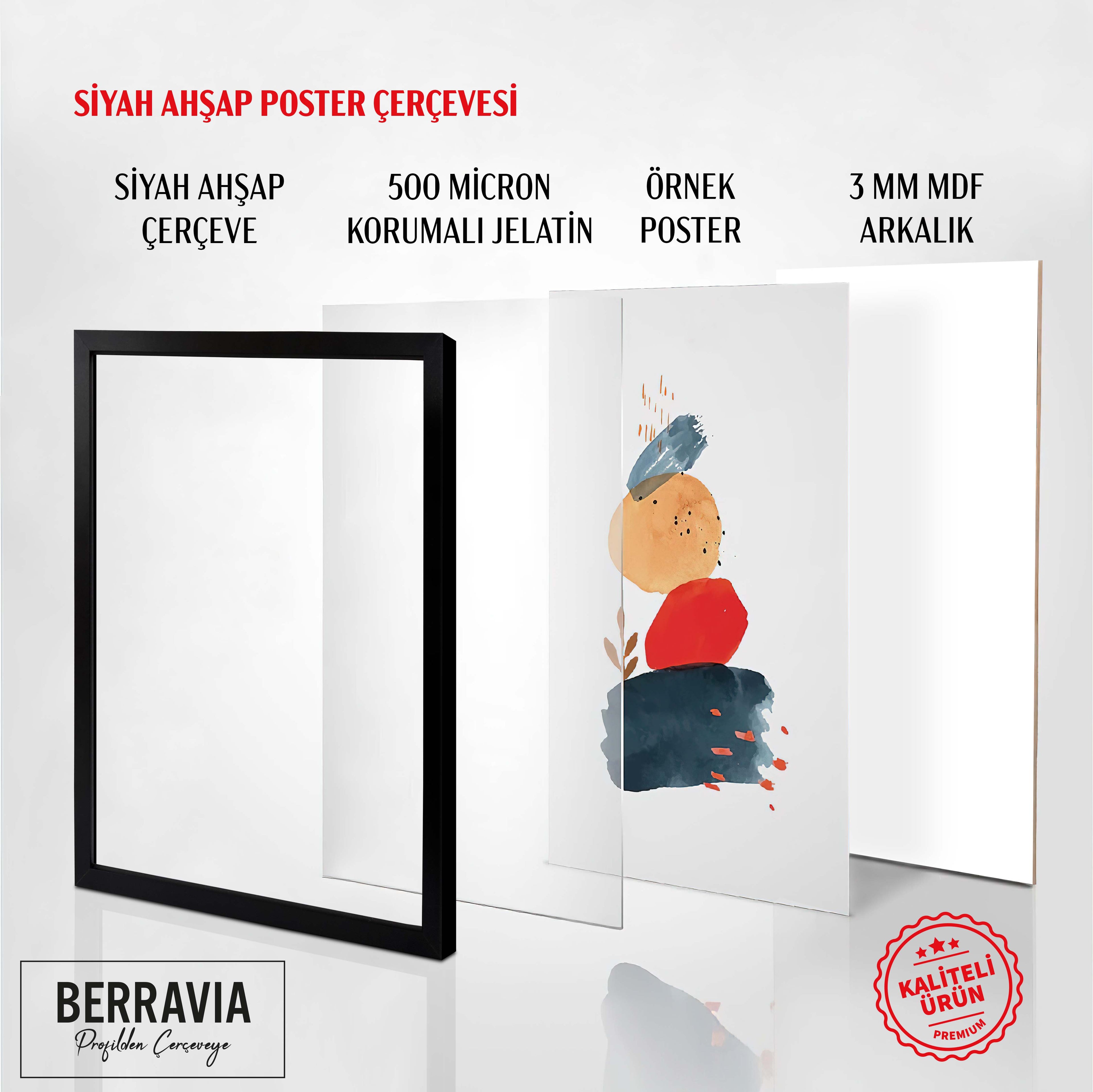 Hazır Poster, Resim Çerçevesi