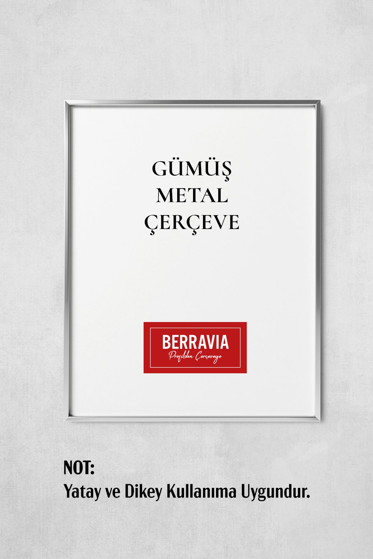 Metal Poster/Fotoğraf Çerçevesi - Gümüş